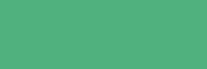 NTラシャ・緑のカラーイメージです。