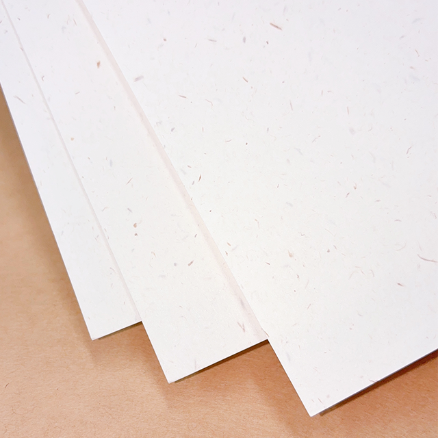 東北コットンCoC