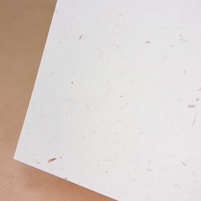 東北コットンCoC